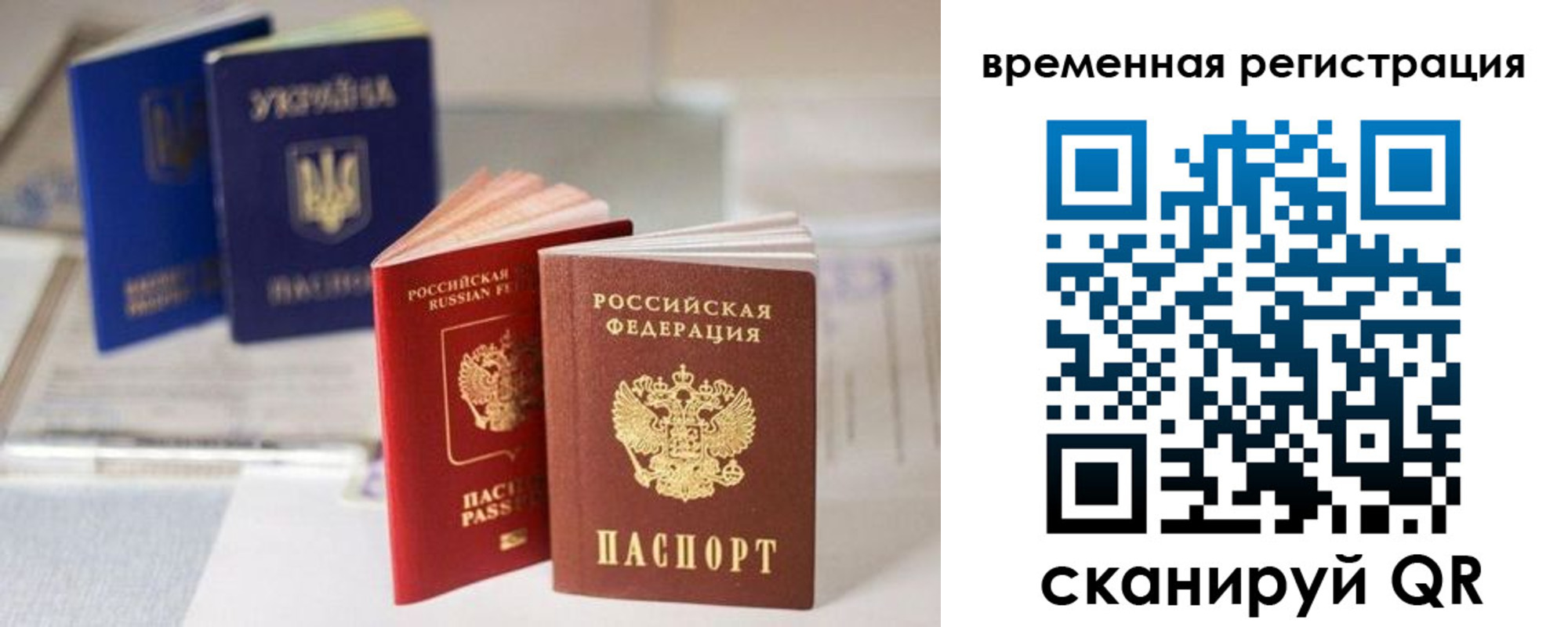 прописка поиск в Семикаракорске